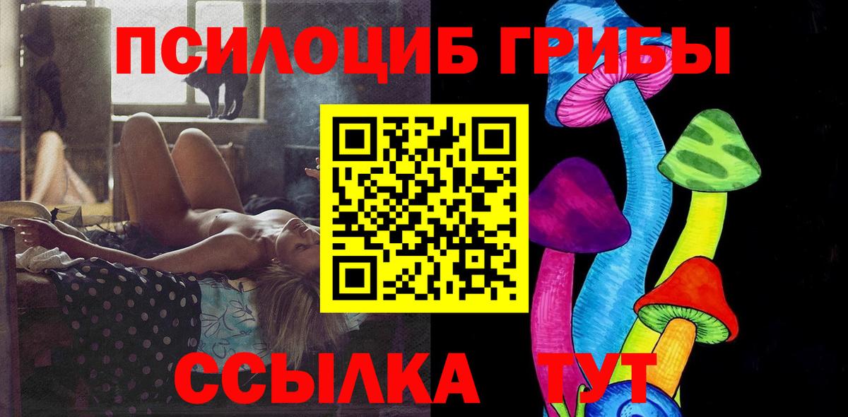 Галлюциногенные грибы Psilocybine cubensis Кропоткин