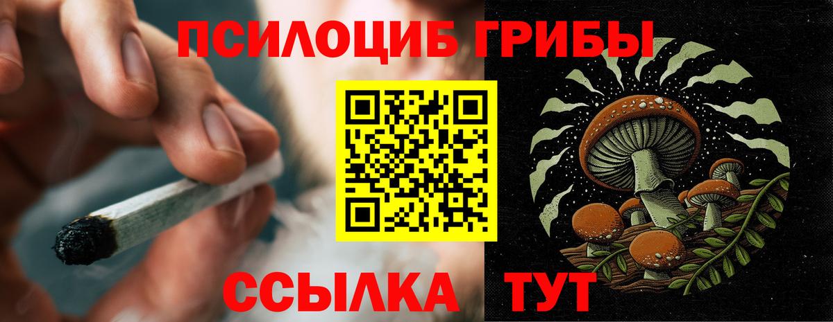 Кропоткин  Псилоцибиновые грибы прущие грибы  цена наркотик  Вход с VPN 